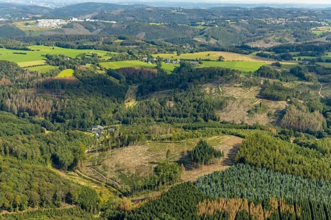 Aerial photograph, forest damage and forest dieback in the Königsfeld district of Ennepetal, Ruhr