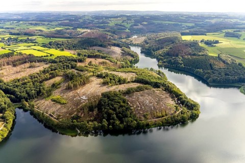 Aerial photo, forest damage at the Ennepetalsperre in the Altenbreckerfeld district of Breckerfeld,