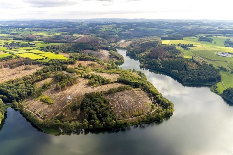 Aerial photo, forest damage at the Ennepetalsperre in the Altenbreckerfeld district of Breckerfeld,