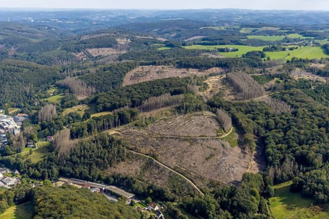 Aerial view, forest damage at the Talsperrenweg in the district Voerde in Ennepetal, Ruhr area,