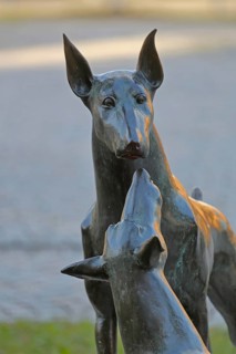 Sculpture Dobermann by Kerstin Stöckel 2019, monument to breeder of dog breed and namesake Karl