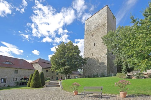 Romanesque keep of the castle, landmark, Wanzleben, Romanesque Road, Saxony-Anhalt, Germany