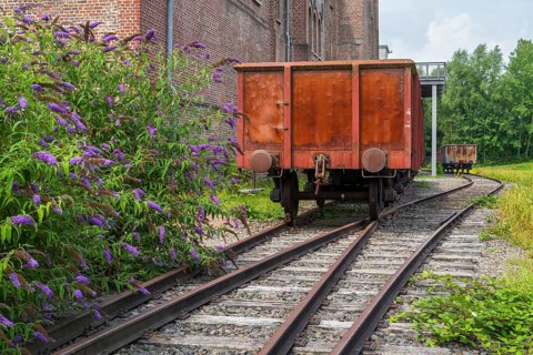 Blooming summer lilacs next to a railway carriage, LWL Museum, former mine, Hanover Colliery,