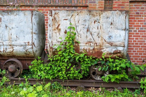 Plants in front of the wagon, coal wagon, railway wagon, LWL Museum, former mine, Hanover colliery,