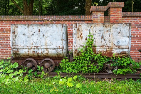 Plants in front of the wagon, coal wagon, railway wagon, LWL Museum, former mine, Hanover colliery,