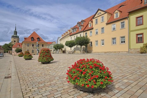 Market square with town hall and church tower of the town church, flower decoration, maypole,