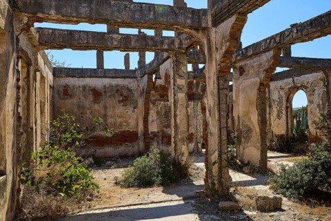 Ruined interior of a building with brick columns and wild vegetation, Old silk factory, German