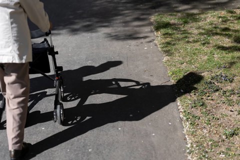 Senior citizen walks in the park in the sunshine and casts a shadow on the ground, Cologne, North