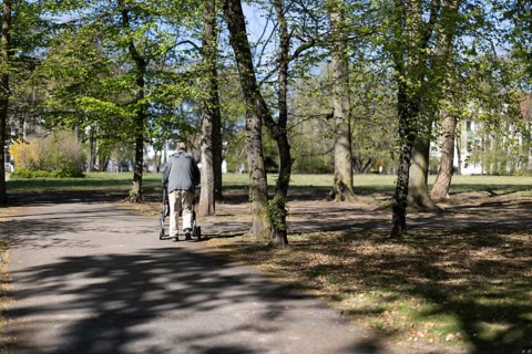 Senior walking in the park with his rollator in the sunshine, Cologne, North Rhine-Westphalia,