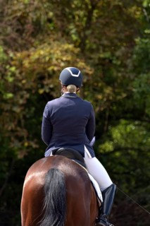 Close-up of horse and rider with equipment from behind during a dressage competition at a horse