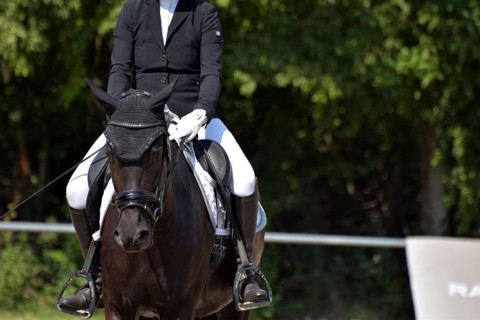 Close-up of a dressage competition at a horse show with typical equipment of rider and horse,