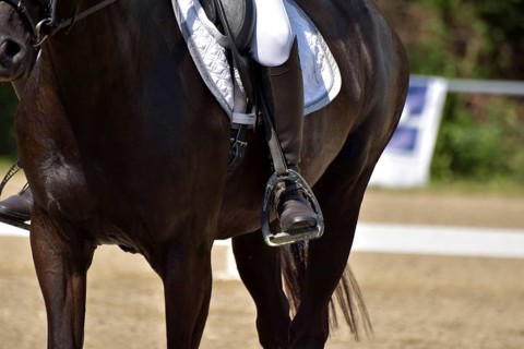 Close-up of a dressage test at a horse show with white dressage saddle pad, stirrups and riding