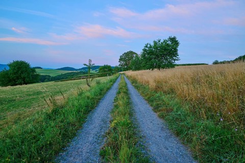 Field path between cornfield and meadow in the soft morning light, Laudenau, Reichelsheim,