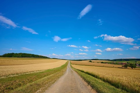 A long dirt track leads through vast fields of grain under a clear blue sky, Reichartshausen,