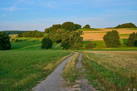 Rural country lane through yellowish fields and green hills, Laudenau, Reichelsheim, Odenwald,