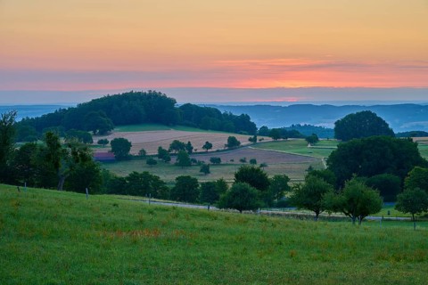 Landscape at sunrise with fields and trees at sunset, Laudenau, Reichelsheim, Odenwald, Hesse,