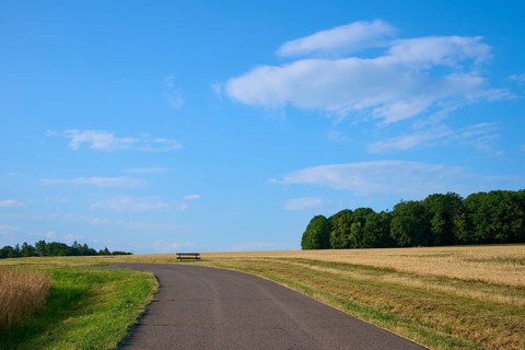A tarmac path with a bench on the horizon, surrounded by fields and a blue sky with light clouds,