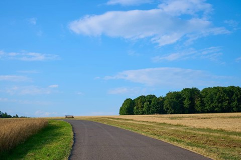 Asphalt road leads past fields to a distant bench under a blue sky with few clouds,