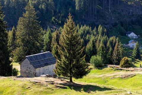 Settlement at mountain huts, Ör da Pü, Blenio, Ticino, Switzerland