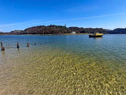 Yellow boat and old wooden piles in a loch with wooded island in the background under blue sky,
