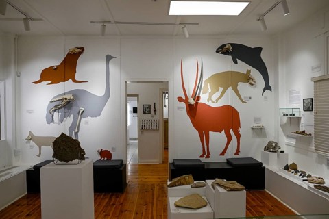 Exhibition rooms of the Jasper House Museum, Oranjemund, diamond restricted area, Karas region,