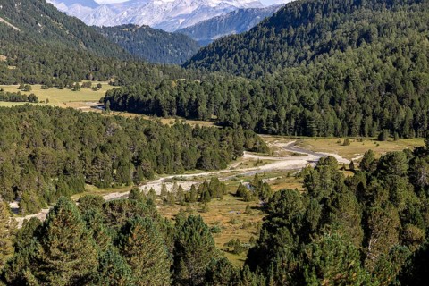 Alluvial plain near Alpe Gana, Sorgente del Brenno, headwaters, Lukmanier Pass, Blenio, Ticino,