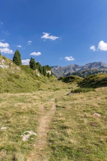 Hiking trail, Alpe di Croce on the Lukmanier Pass, behind Pizzo Campo Tencia, Blenio, Ticino,