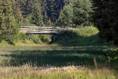 Wetland and wooden bridge, Campra, Blenio, Ticino, Switzerland