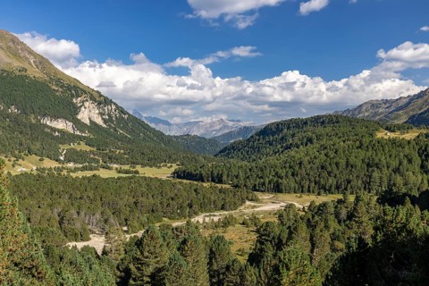 Alluvial plain near Alpe Gana, Sorgente del Brenno, headwaters, Lukmanier Pass, Blenio, Ticino,
