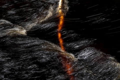 Branch of a birch tree in a fast flowing stream, light reflections on the water surface, Norway