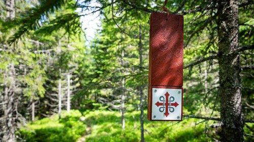 Red sign with Olav's cross hanging on a tree, forest path in bright sunshine, Olavsweg or