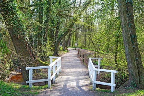 Idyllic promenade, avenue, small wooden footbridge, white railings, spring green, Lower Saxony,