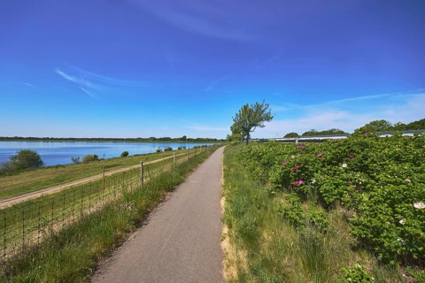 Alfsee reservoir, flood protection, flood retention basin, footpath and cycle path, fence, nature