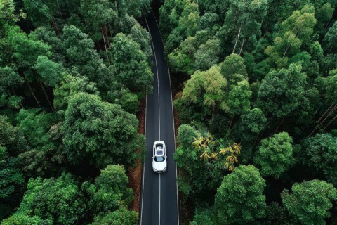 Aerial drone birds view of a lonely car on a highway going through the forest. Concept of