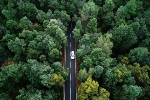 Aerial drone birds view of a lonely car on a highway going through the forest. Concept of