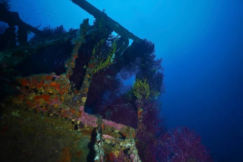 Underwater wreck overgrown with colourful soft corals in a deep blue environment. Dive site wreck