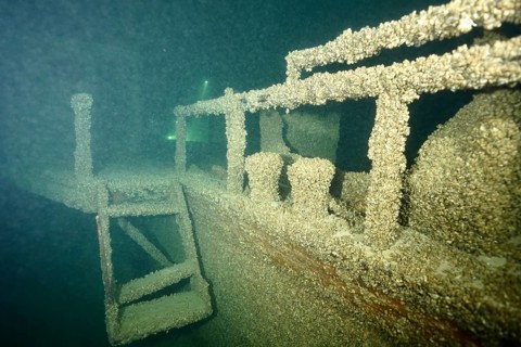A shipwreck covered with quagga triangle mussels (Dreissena rostriformis bugensis), an invasive