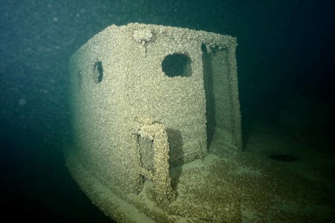 Shipwreck covered with quagga triangle mussels (Dreissena rostriformis bugensis), invasive species,