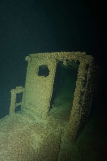 Shipwreck covered with quagga triangle mussels (Dreissena rostriformis bugensis), invasive species,
