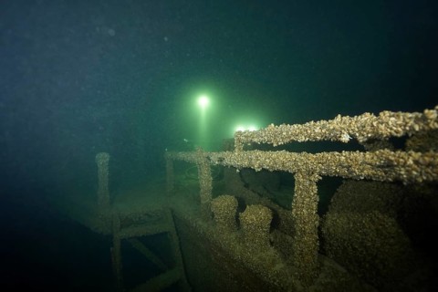 A shipwreck covered with quagga triangle mussels (Dreissena rostriformis bugensis), an invasive