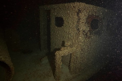 Old shipwreck covered with quagga triangle mussels (Dreissena rostriformis bugensis), invasive