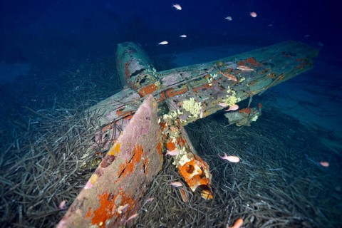 Old aircraft wreck on the seabed, covered with rust and marine growth. Dive site aircraft wreck