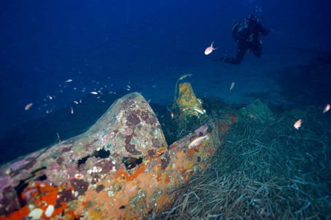 A diver explores an old aircraft wreck overgrown with marine vegetation. Dive site aircraft wreck