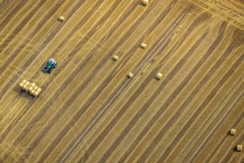 Aerial view, tractor harvesting grass, Mündelheim, Duisburg, Ruhr area, North Rhine-Westphalia,
