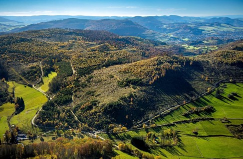Aerial view, forest area with forest damage in the Petersborn district of Brilon, Sauerland, North