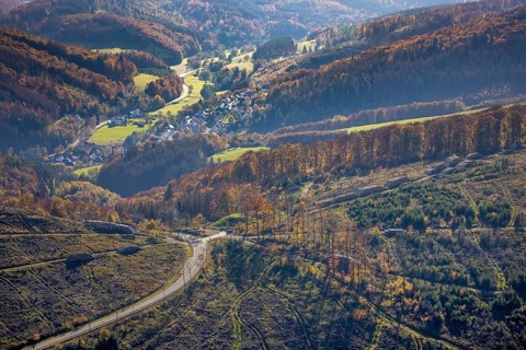 Aerial view, forest area with forest damage in the village of Bontkirchen in the district of