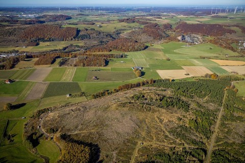 Aerial view, forest area with forest damage and wind farm in the background in the district of