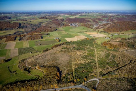 Aerial view, forest area with forest damage and wind farm in the background in the district of