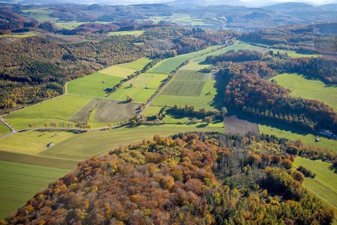 Aerial view, nature reserve Romberg forest area with forest damage in Brilon, Sauerland, North