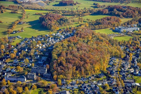 Aerial view, forest Drübel - nature reserve in autumn colours and vehicle registration office